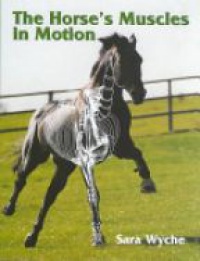 Wyche S. - Horse's Muscles in Motion