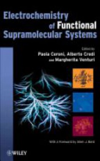 Paola Ceroni,Alberto Credi,Margherita Venturi - Electrochemistry of Functional Supramolecular Systems
