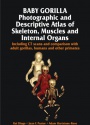 Baby Gorilla: Photographic and Descriptive Atlas of Skeleton, Muscles and Internal Organs