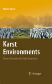 Veress M. - Karst Environments 