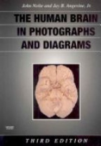 Nolte - The Human Brain in Photographs and Diagrams with CD-ROM