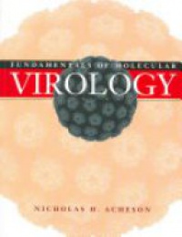 Acheson N. - Fundamentals of Molecular Virology