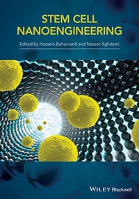 H. Baharvand - Stem Cell Nanoengineering