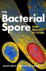 The Bacterial Spore