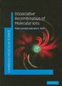 Larsson - Dissociative Recombination of Molecular Ions