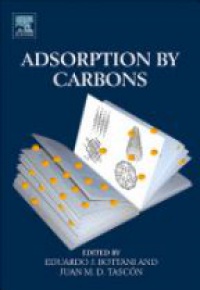 Bottani E. - Adsorption by Carbons