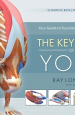 Key Poses of Yoga: Your Guide to Functional Anatomy in Yoga