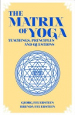 Matrix of Yoga: Teachings, Principles & Questions