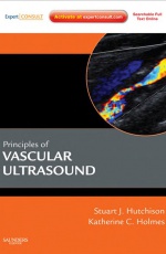 Principles of Vascular and Intravascular Ultrasound