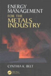 Cynthia K. Belt - Energy Management for the Metals Industry