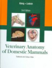 Konig - Veterinary Anatomy of Domestic Mammals