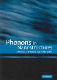 Stroscio M. - Photons in Nanostructures