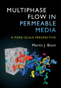 Martin J. Blunt - Multiphase Flow in Permeable Media: A Pore-Scale Perspective