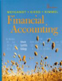 Jerry J. Weygandt,Donald E. Kieso,Paul D. Kimmel - Financial Accounting