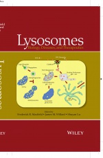 Lysosomes: Biology, Diseases, and Therapeutics 