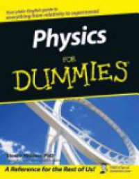 Holzner S. - Physics for Dummies