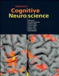 Purves D. - Principles of Cognitive Neuroscience