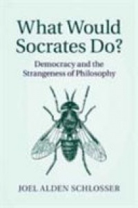 Joel Alden Schlosser - What Would Socrates Do?: Self-Examination, Civic Engagement, and the Politics of Philosophy