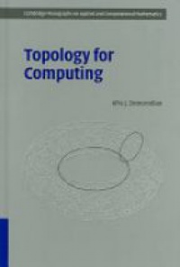 Zomorodian A. - Topology for Computing