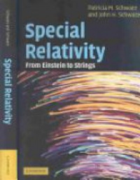 Schwarz P.M. - Special Relativity