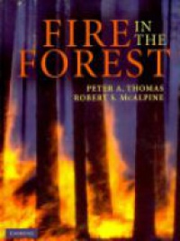 Thomas - Fire in the Forest
