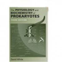 White D. - The Physiology and Biochemistry of Prokaryotes