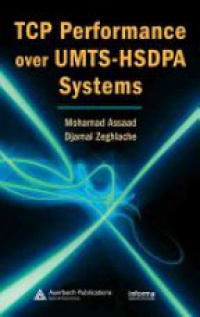 Assaad, M. - TCP Performance over UMTS-HSDPA Systems