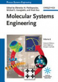 Efstratios Pistikopoulos - Molecular Systems Engineering