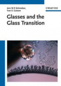 Ivan S. Gutzow - Glasses and the Glass Transition