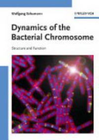 Schumann W. - Dynamics of the Bacterial Chromosome
