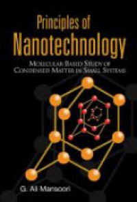 Mansoori G. - Principles of Nanotechnology