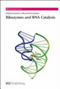 David M J Lilley,Fritz Eckstein - Ribozymes and RNA Catalysis