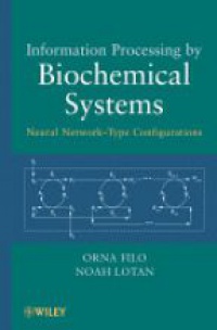 Orna Filo,Noah Lotan - Information Processing by Biochemical Systems: Neural Network–Type Configurations