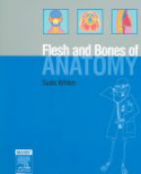 Whiten, Susie - The Flesh and Bones of Anatomy