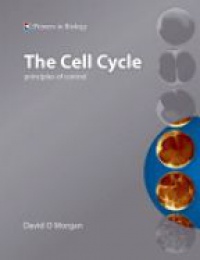 Morgan D. - The Cell Cycle. Principles of Control