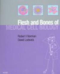 Norman - Flesh and Bones of Medical Cell Biology