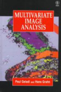 Geladi P. - Multivariate Image Analysis