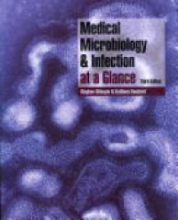 Gillespie S. - Medical Microbiology & Infection at a Glance, 3rd ed.