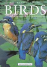 Forshaw J. - Encyclopedia of Birds: A Comprehensive Illustrated Guide by International Experts, 2nd Edition