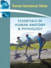 Marieb - Essentials of Human Anatomy and Physiology