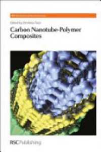 Dimitrios Tasis - Carbon Nanotube-Polymer Composites