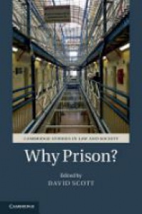 Scott - Why Prison?