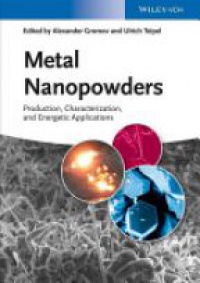Alexander A. Gromov - Metal Nanopowders
