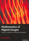 Mathematics of Digital Images