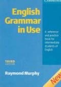 English Grammar In Use Without Answers