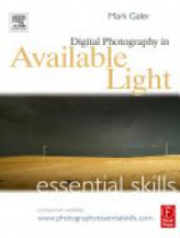 Galer - Digital Photography in Available Light