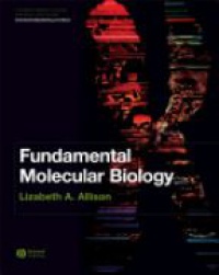 Allison - Fundamental Molecular Biology