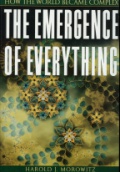 The Emergence of Everithing
