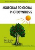 Molecular to Global Photosynthesis