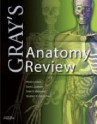 Loukas, Marios - Gray's Anatomy Review